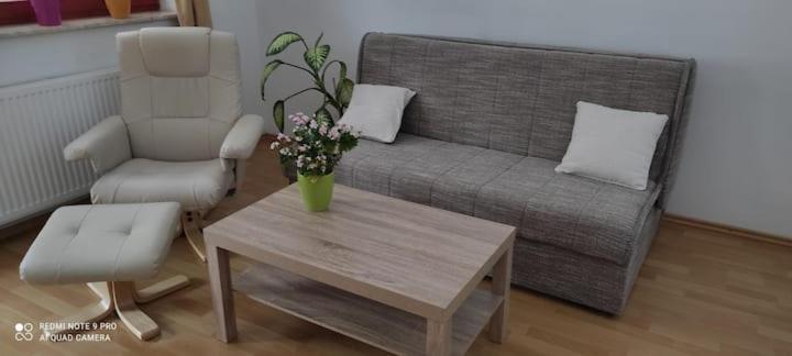 Apartmaji Bostjan Pristavec 크라니스카고라 외부 사진